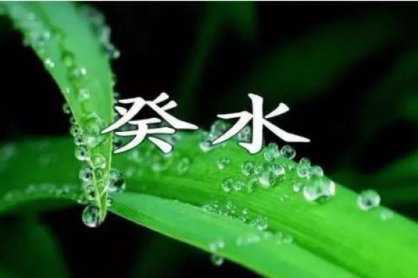 女命阴水命的深刻解析与生活启示
