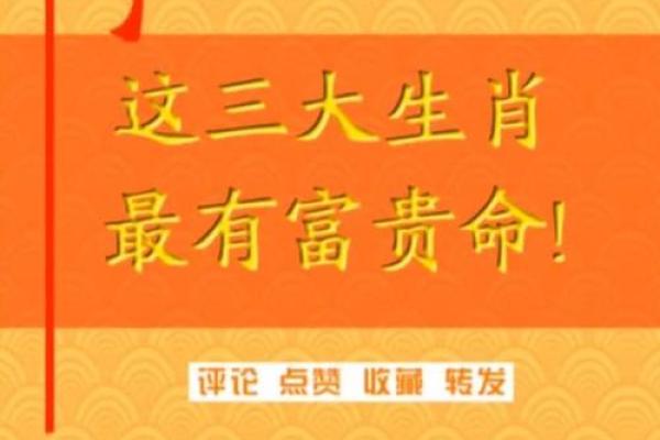 什么动物代表富贵命：深入探索生肖与财富的神秘联系