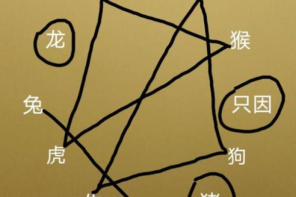 午马未羊：命理解析与人生哲学的智慧之道