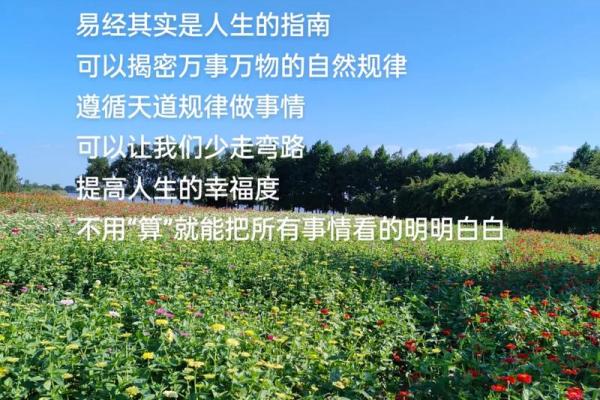 92岁属什么?揭秘92岁老人的命运与人生智慧 92岁属什么?揭秘92岁老人的命运与人生智慧