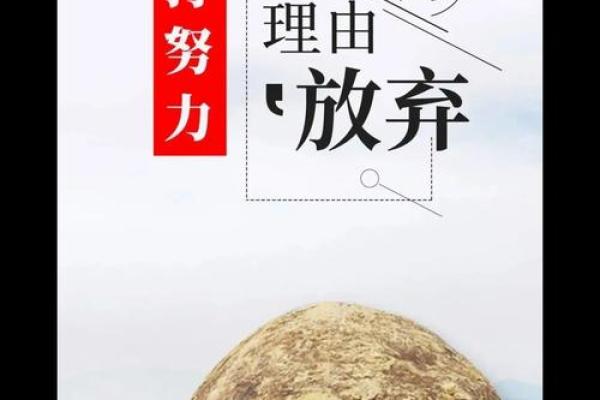 19830106出生的人生解析：与命运的和谐共舞