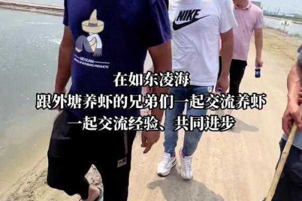 适合养虾的命理分析：探索你的命格与虾的紧密联系