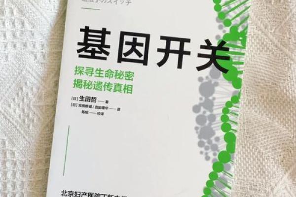 命理缺子女的秘密与调和之道:让生命焕发新的希望 命理缺子女的秘密与调和之道:让生命焕发新的希望
