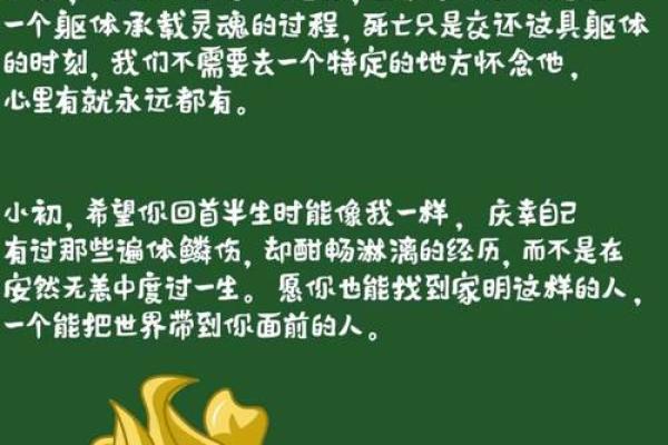 朱元璋的命运之谜:算命背后的故事与启示 朱元璋的命运之谜:算命背后的故事与启示