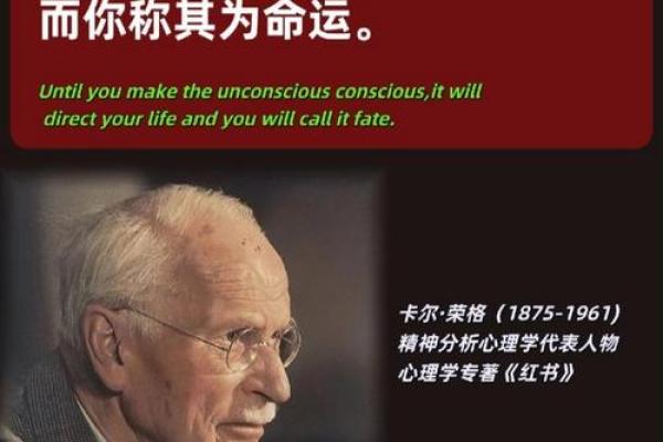 解读63属什么生肖与命运的奥秘，揭示人生轨迹