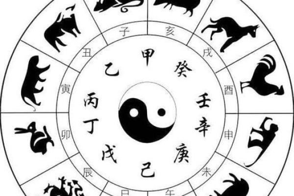 解读63属什么生肖与命运的奥秘,揭示人生轨迹 解读63属什么生肖与命运的奥秘,揭示人生轨迹