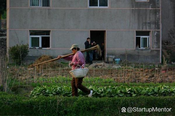 农民工的命运:在城市与乡村之间的拼搏与希望 农民工的命运:在城市与乡村之间的拼搏与希望