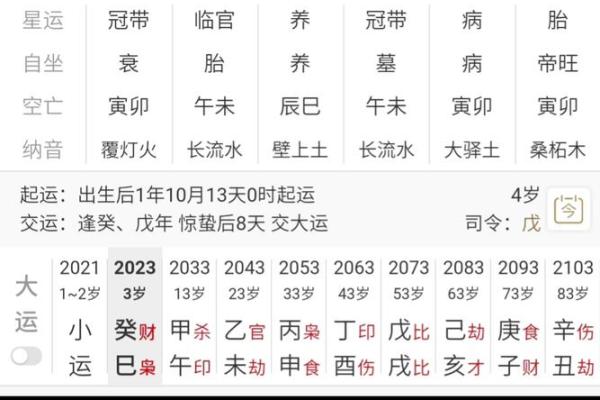 命理揭秘:如何识别幸福公主命格的特征与启示 命理揭秘:如何识别幸福公主命格的特征与启示