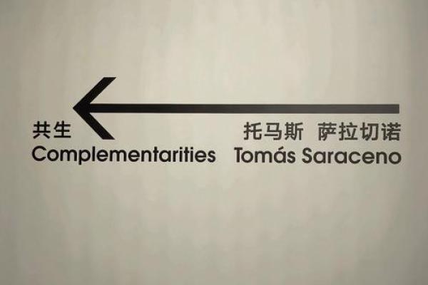 2048年的命运：科技与人类的深度共生之路