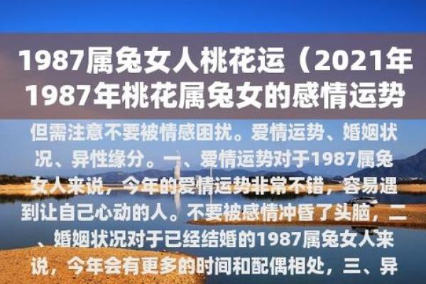 1987年兔年生人的命运与人生指导 1987年兔年生人的命运与人生指导