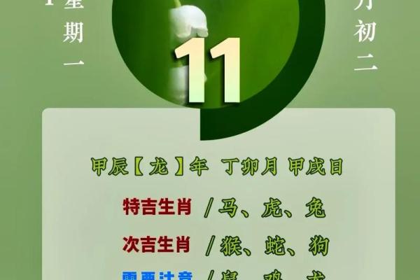 根据年份探讨生肖与五行命理的关系，揭示人生秘密！