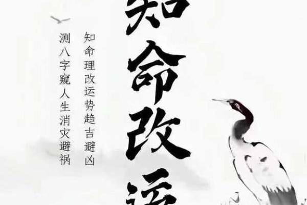 探秘命理：女命生男命的深意与缘由