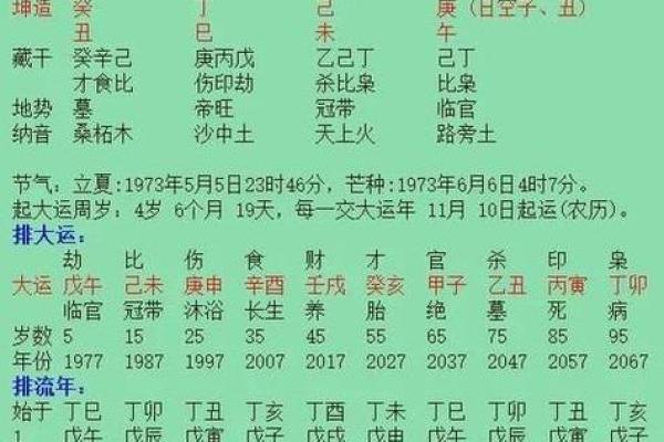 探究五行之理：如何判断一个人的命格属木？