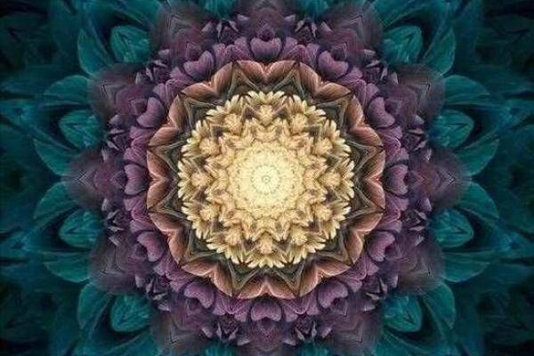 探究命理：你命中的喜好与人生的秘密关系
