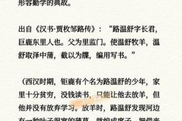 从勤奋到成功：理解“脚踏实地”这一成语的深刻寓意
