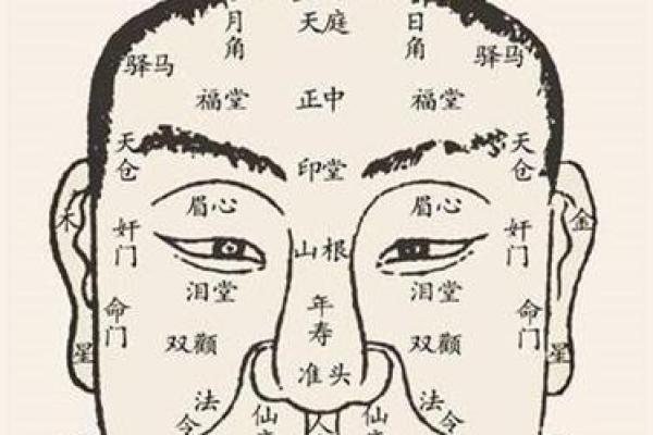 驿马命:运势起伏的秘密与注意事项解析 驿马命:运势起伏的秘密与注意事项解析
