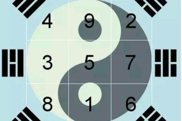 19950218是什么命:探秘出生于这一日的命运与性格 19950218是什么命:探秘出生于这一日的命运与性格