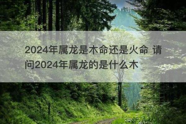 木命与火命适合种植哪些树木?探秘五行相生之道 木命与火命适合种植哪些树木?探秘五行相生之道