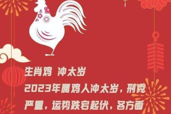 2017年属鸡的人的命运分析与生活指南 2017年属鸡的人的命运分析与生活指南