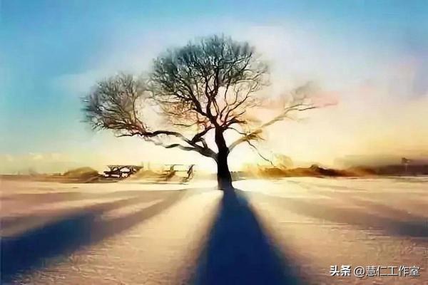 风水轮流转：谋事在人成事在天的智慧探讨