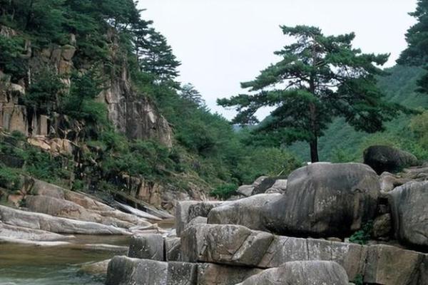 1998年属虎,戊寅之命:从命理看人生之路 1998年属虎,戊寅之命:从命理看人生之路