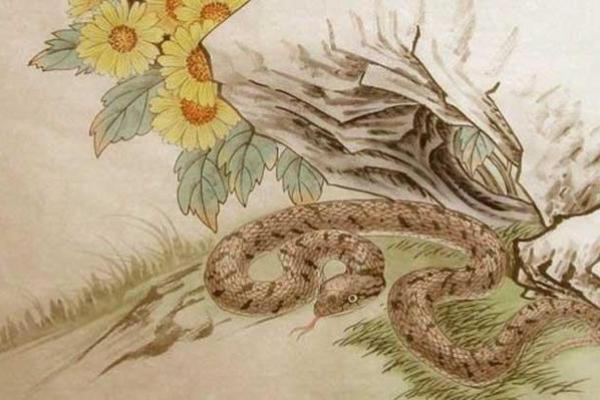 探索农历10月蛇的命运:揭开神秘面纱,分析命理奥秘 探索农历10月蛇的命运:揭开神秘面纱,分析命理奥秘
