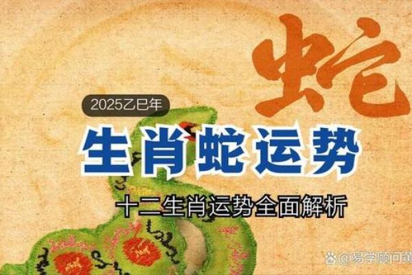 1940年生肖蛇的命运与性格剖析
