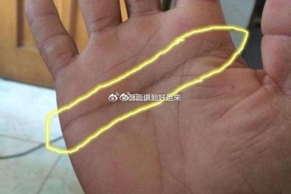 女人左手断掌的命理解析：揭开手相的神秘面纱
