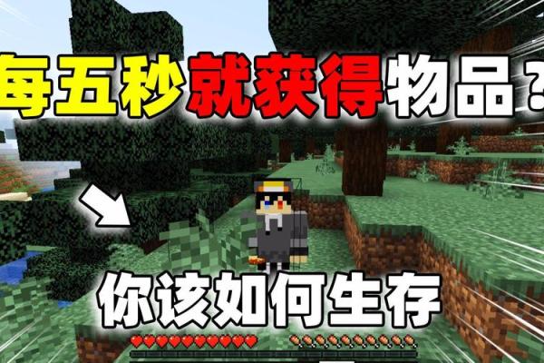 挑战模式中的戒指加命探秘：如何提升生存概率与技巧