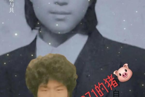 1971年白猪出生的人命运解析:你的优势与挑战 1971年白猪出生的人命运解析:你的优势与挑战