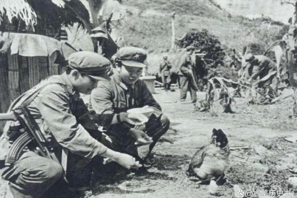 1936年出生的男士命运分析与人生启示