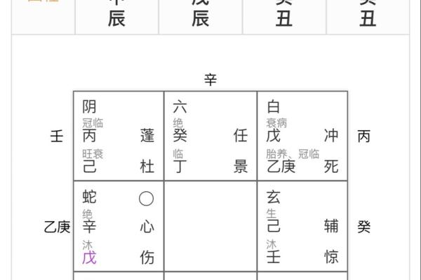 坐命与命主的区别解析：探寻命理学的奥秘与智慧