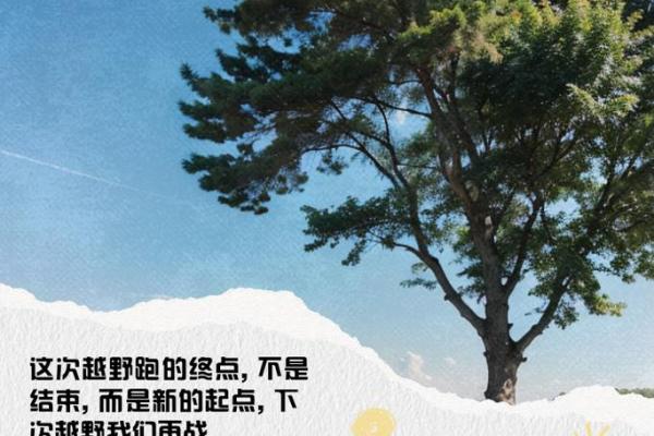 在繁华与孤独之间，探索2019年的命运轨迹