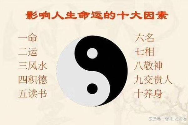 女命三两四钱，命理解析与生活启示