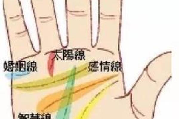 探索女性手掌纹理:解析命运与幸福的奥秘 探索女性手掌纹理:解析命运与幸福的奥秘