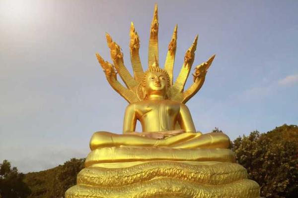 童子命的人担心什么：揭示内心世界的神秘面纱
