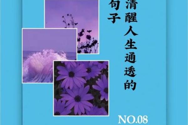 1965年出生的男性命运解析：人生的风雨与辉煌之路
