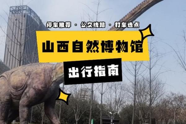 童子命与普通命的区别：命理背后的奥秘探索