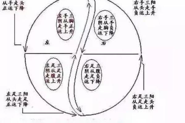 命理中的武功命格解析：揭秘潜在的力量与机遇