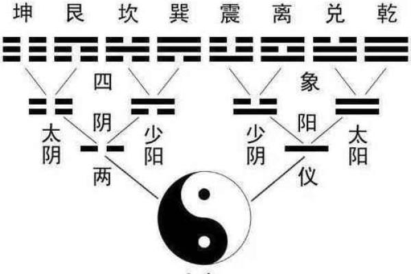 深入探究坤命与东四命:命理中的和谐与智慧 深入探究坤命与东四命:命理中的和谐与智慧