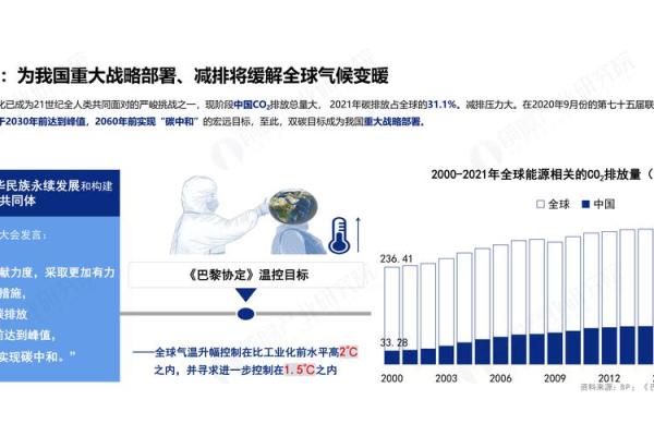 1980年10月出生的人命运解析：探索生命中的机遇与挑战