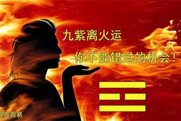 2024年：生肖龙年，迎接新气象与美好机遇的时刻