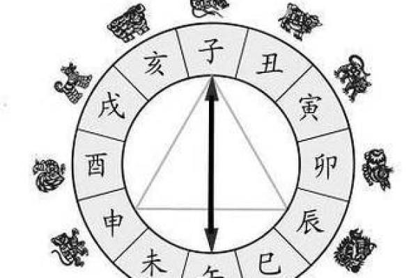 解读命理:生肖与动物之间的神秘联系及其影响力量 解读命理:生肖与动物之间的神秘联系及其影响力量