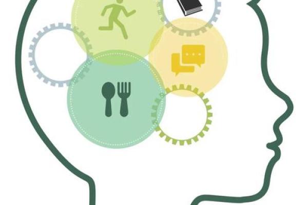 命理与愚笨：破解智慧与命运的奥秘