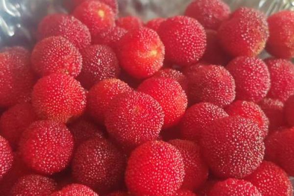 探索命格的奥秘:解读你的命运与人生潜能 探索命格的奥秘:解读你的命运与人生潜能