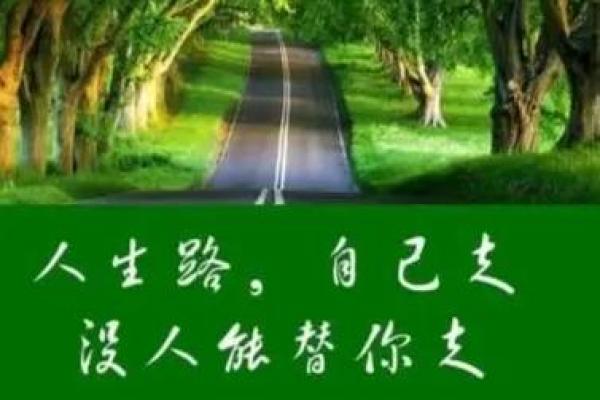 30岁属什么命？揭秘命理与人生的智慧之旅