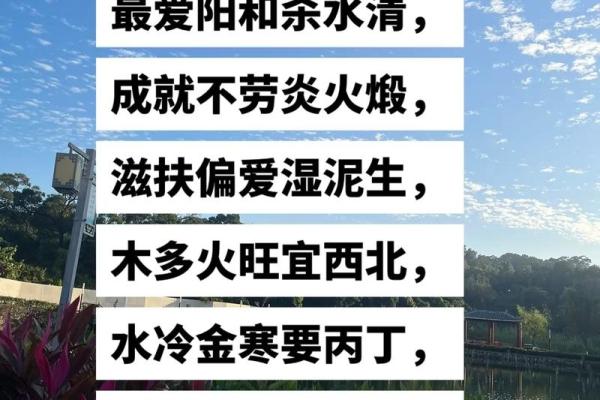 男己士命与适合配对的命理探讨