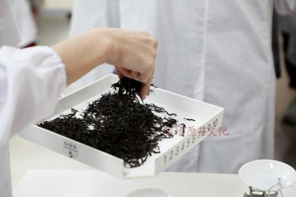 探索数字命理的奥秘：20010101背后的命运解析