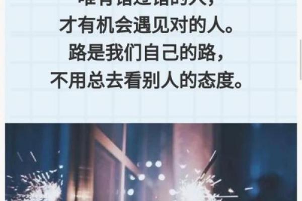 3600万：命运的数字与人生的抉择