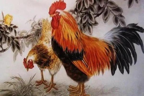 1933年属鸡女的命运解析：智慧与坚韧并存